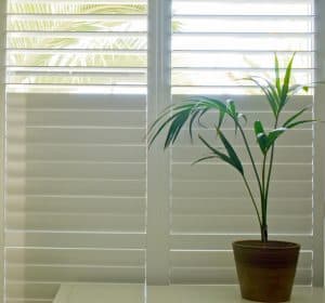 Window shutters with small palm tree plant in front, AHutters & Blinds of Arizona, Phoenix AZ